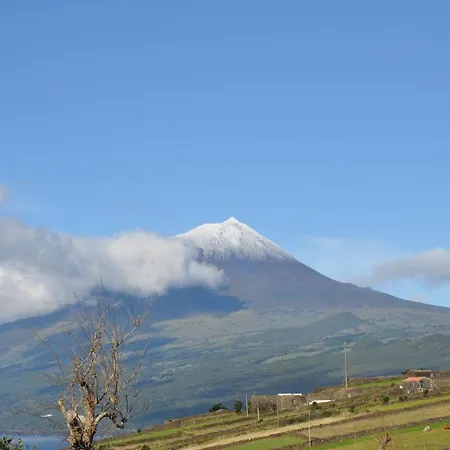 Casa Da Abrotea 度假居 *