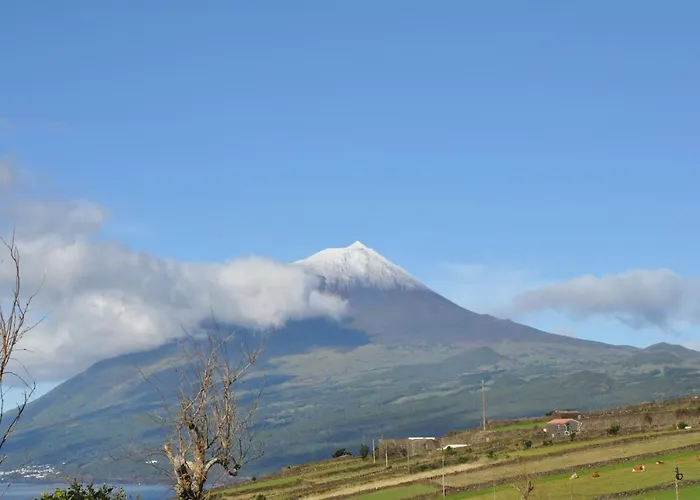 Casa Da Abrotea 펜션 *