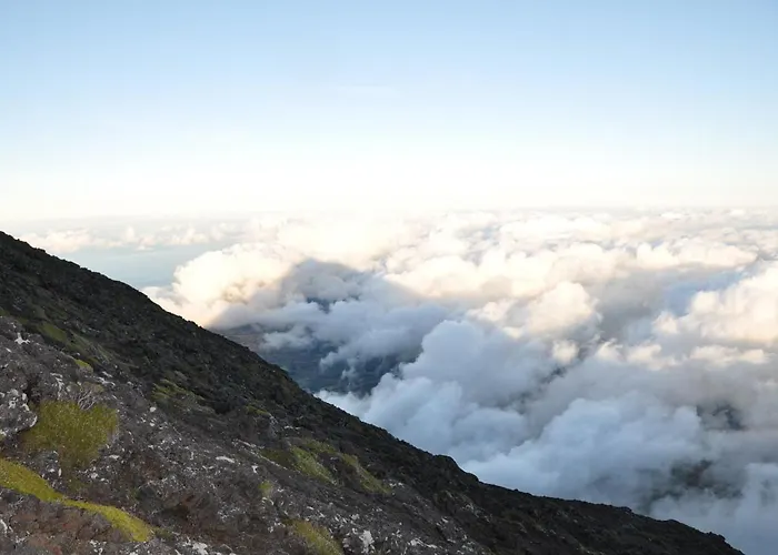 Casa Da Abrotea 라제스 두 피코