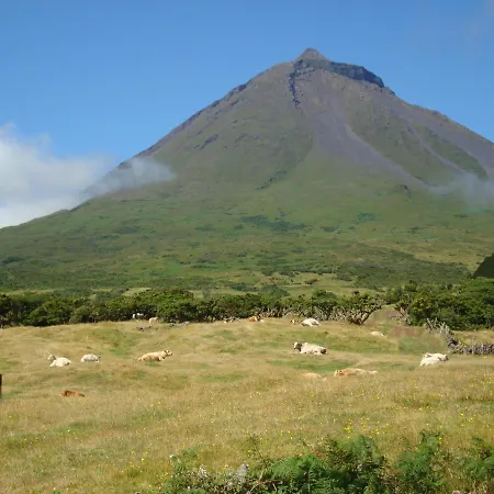 펜션 Casa Da Abrotea *