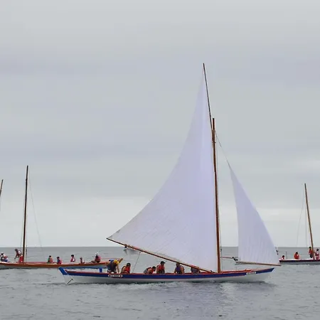 Casa Da Abrotea 펜션