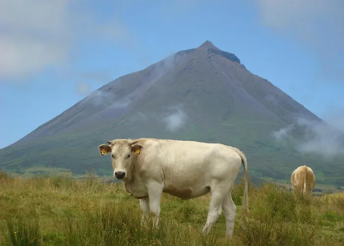 Holiday home Casa Da Abrotea Lajes do Pico