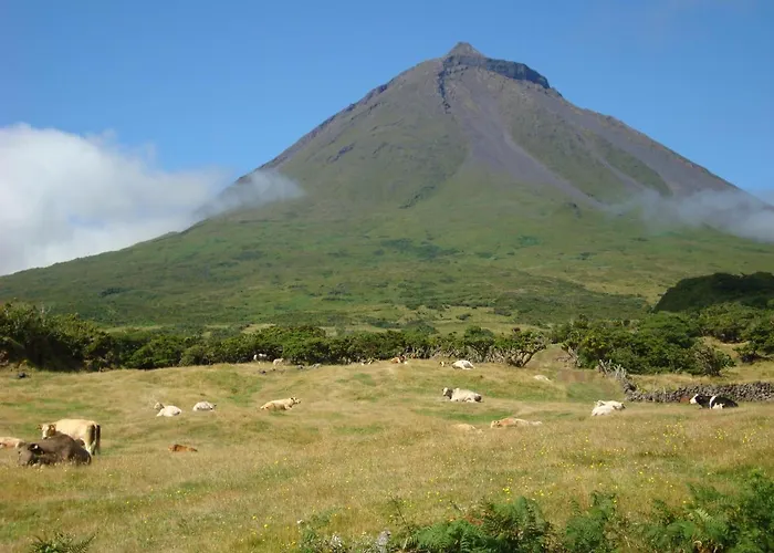 Dom wakacyjny Casa Da Abrotea *